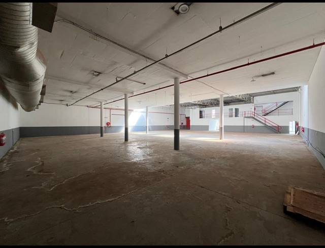 1,153M² WAREHOUSE TO LET IN STRIJDOMPARK